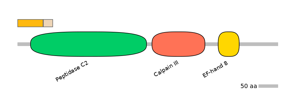 HsaINT0027403-EXC