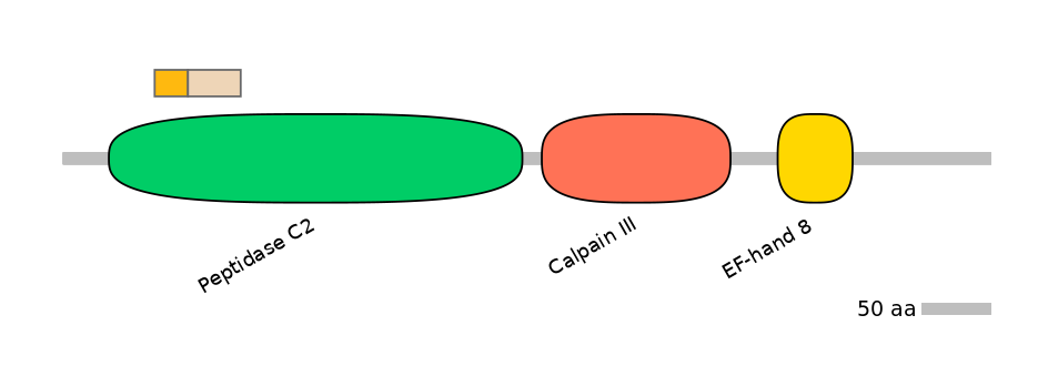 HsaINT0027407-EXC