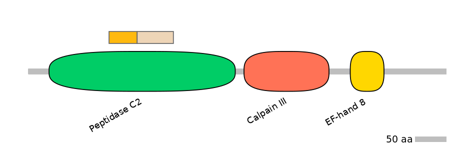 HsaINT0027409-EXC