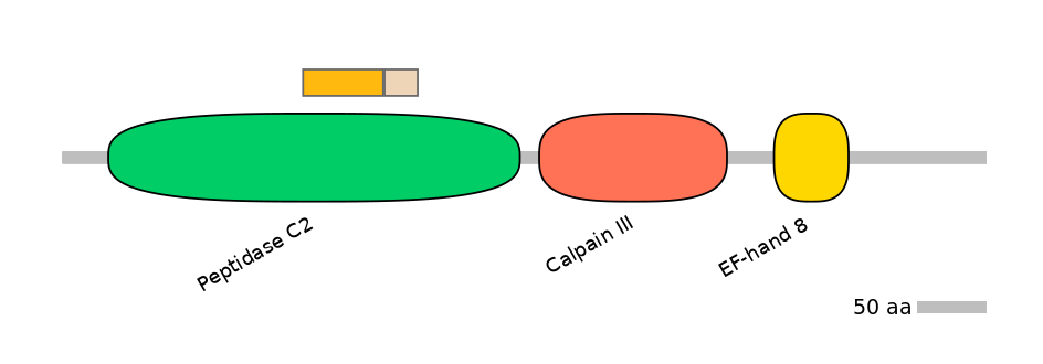 HsaINT0027410-EXC