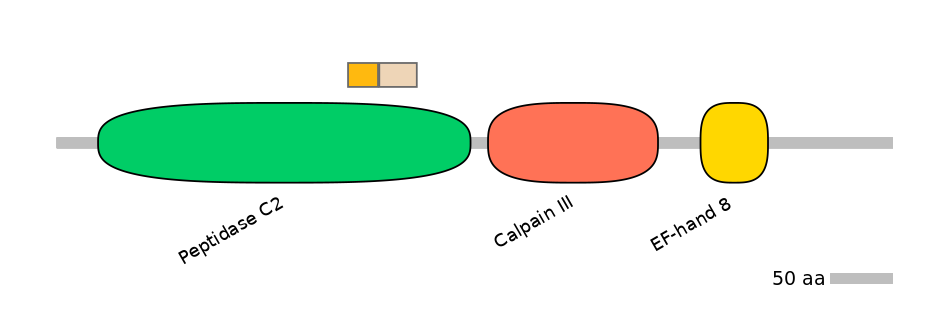 HsaINT0027411-EXC