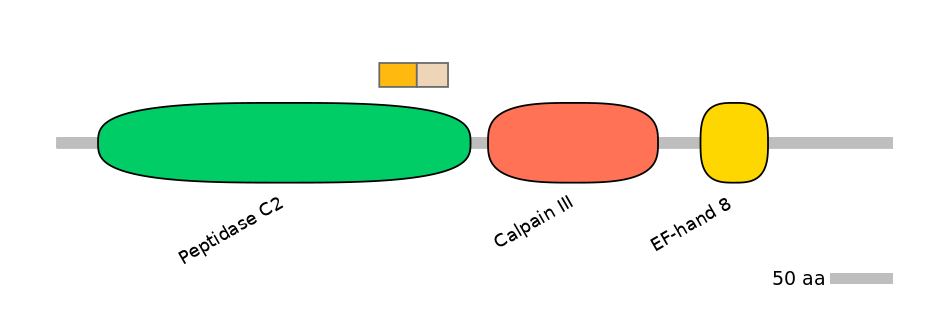 HsaINT0027412-EXC