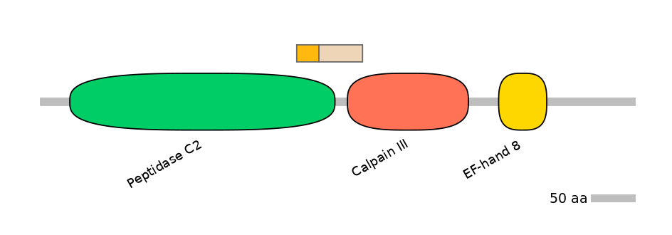 HsaINT0027413-EXC
