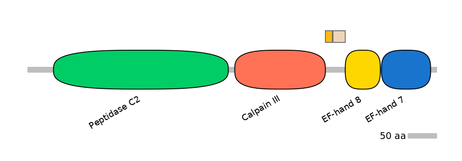 HsaINT0027439-EXC