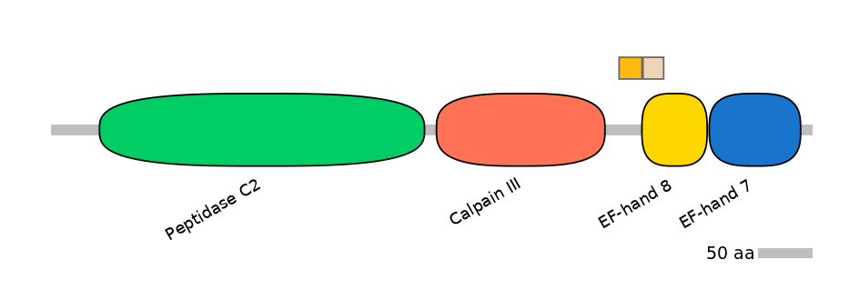 HsaINT0027440-EXC