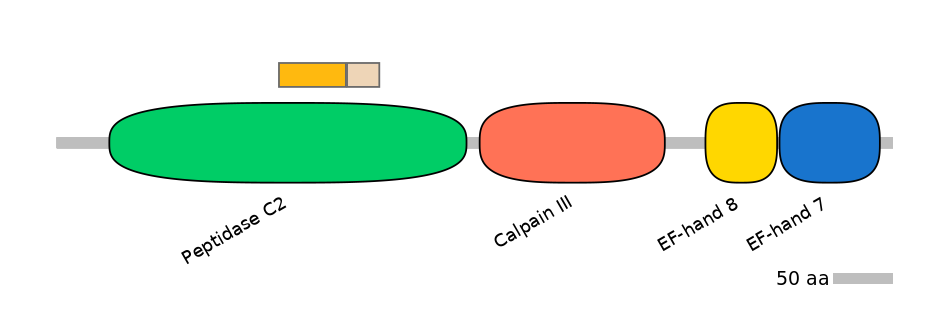 HsaINT0027450-EXC