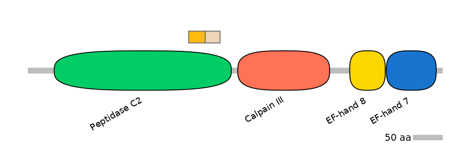 HsaINT0027452-EXC