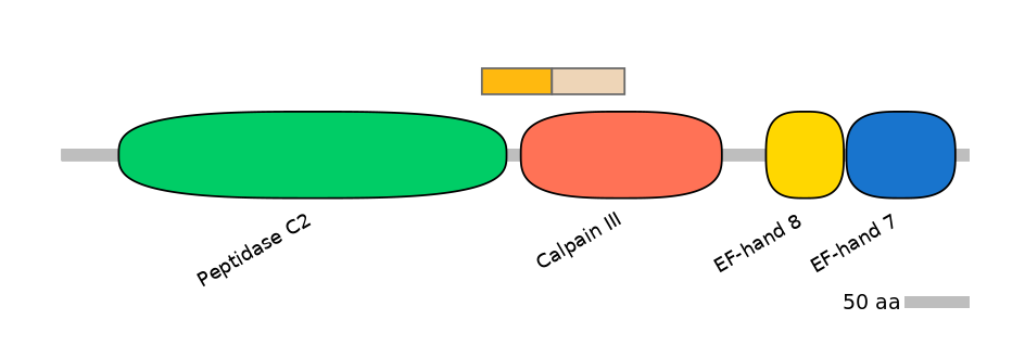 HsaINT0027454-EXC