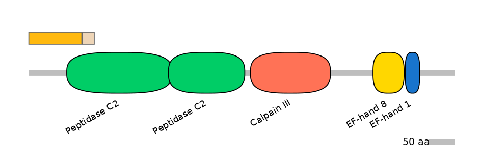 HsaINT0027458-EXC