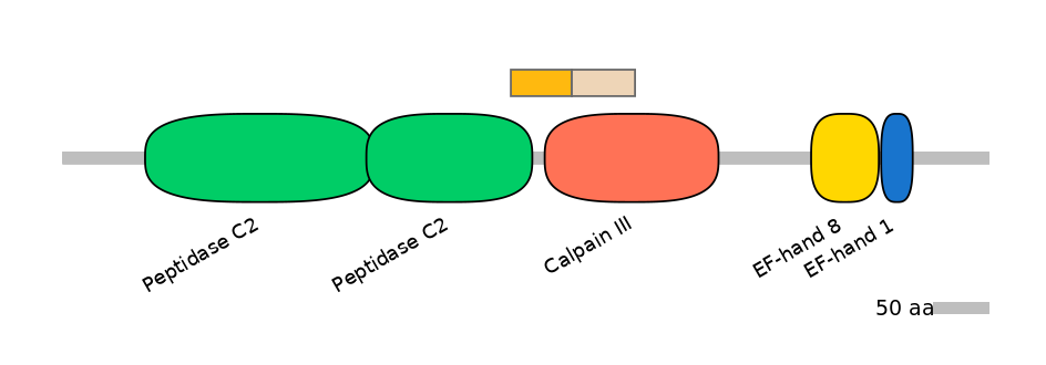 HsaINT0027459-EXC