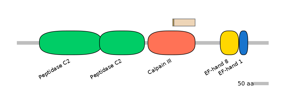 HsaINT0027461-EXC