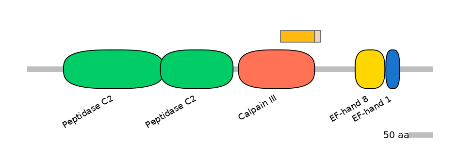 HsaINT0027462-EXC