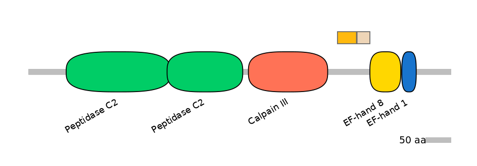 HsaINT0027464-EXC