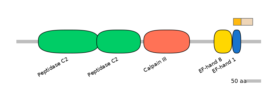 HsaINT0027470-EXC