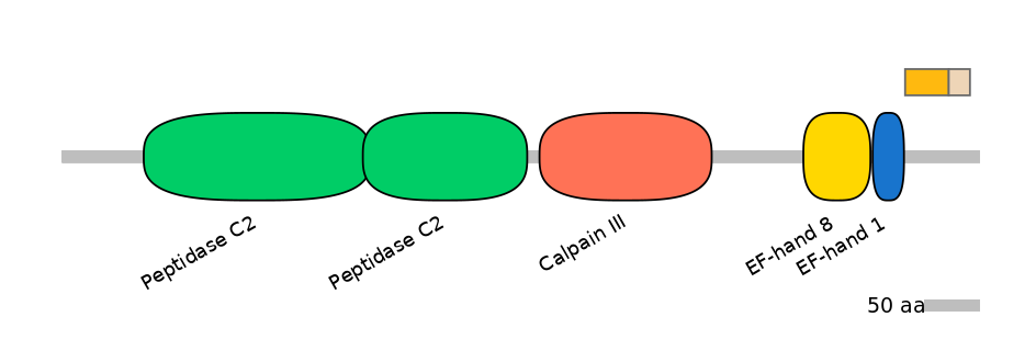 HsaINT0027471-EXC