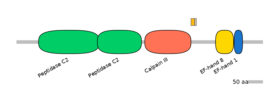 HsaINT0027480-EXC