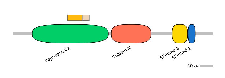 HsaINT0027481-EXC