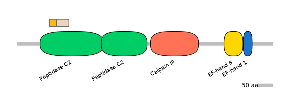 HsaINT0027487-EXC