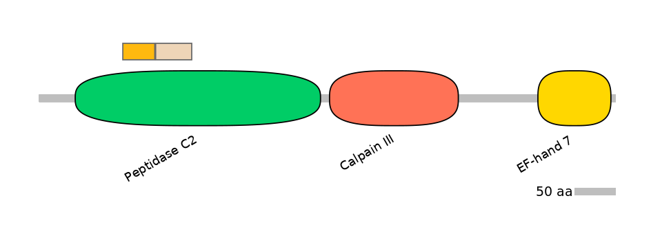 HsaINT0027542-EXC