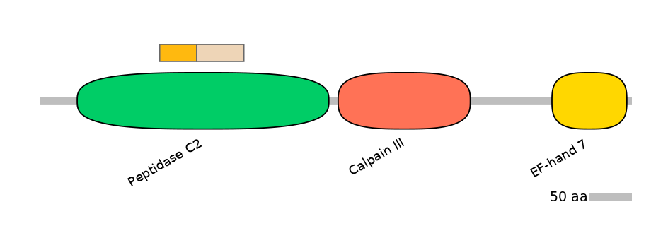 HsaINT0027543-EXC