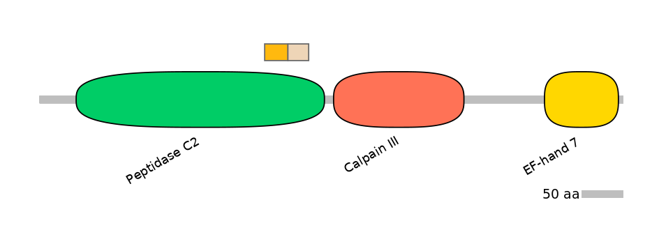 HsaINT0027546-EXC