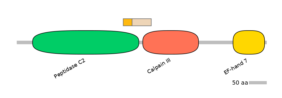 HsaINT0027547-EXC