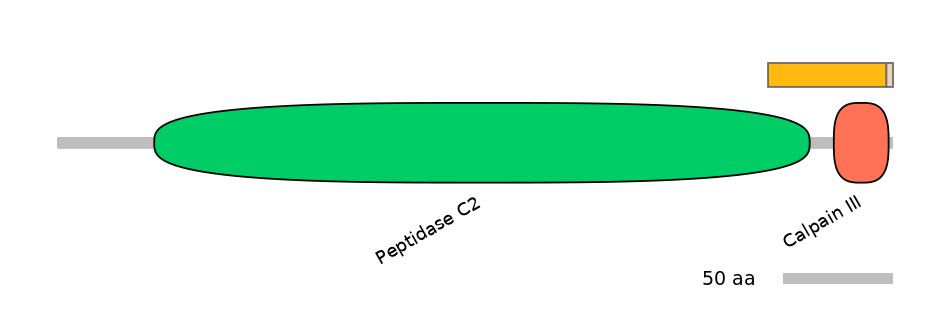 HsaINT0027548-EXC