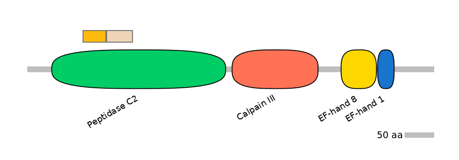 HsaINT0027561-EXC