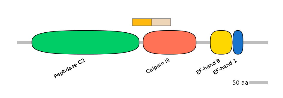 HsaINT0027566-EXC