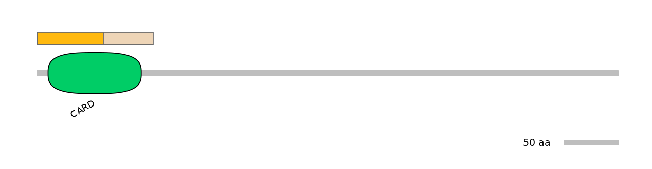HsaINT0027758-EXC