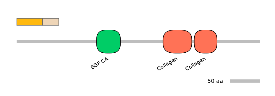 HsaINT0028651-EXC