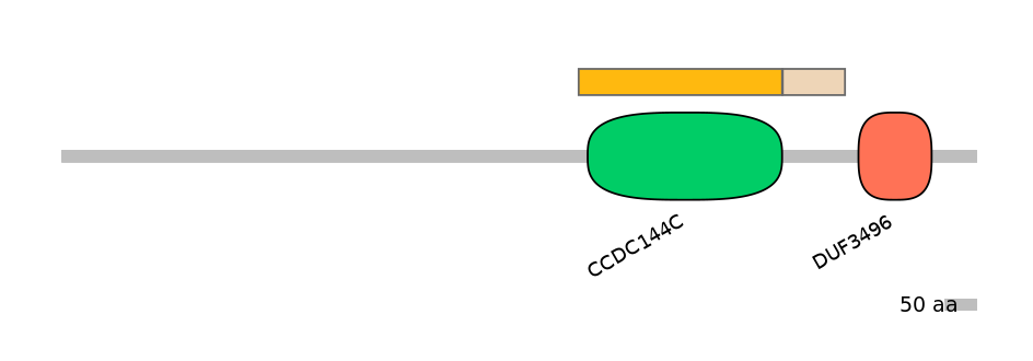 HsaINT0029087-EXC
