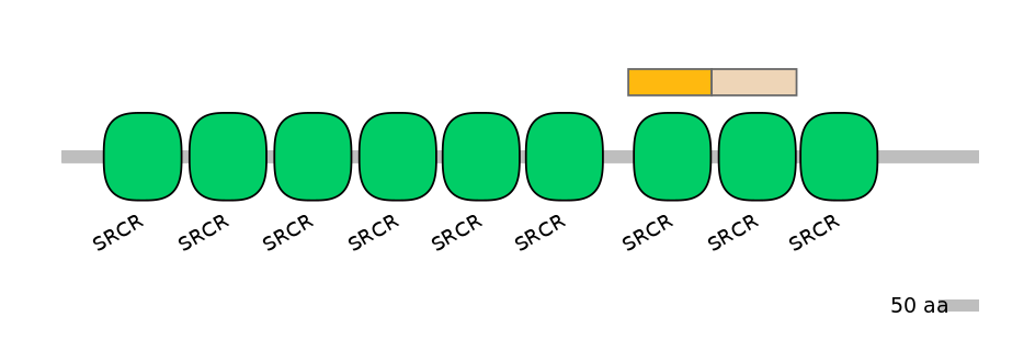 HsaINT0030801-EXC
