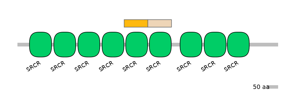 HsaINT0030812-EXC