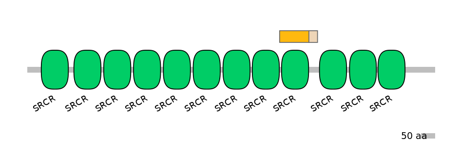 HsaINT0030817-EXC