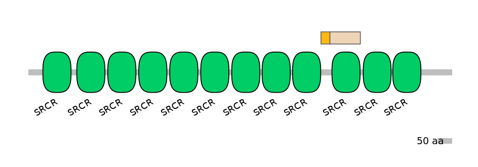 HsaINT0030818-EXC