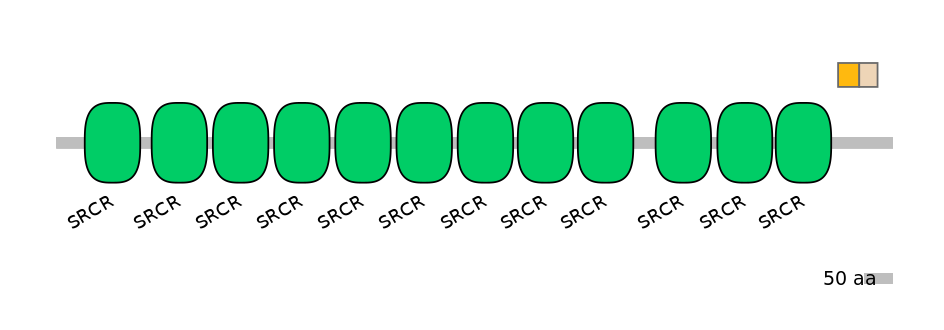 HsaINT0030823-EXC