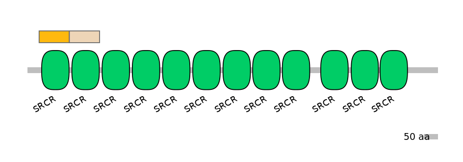 HsaINT0030827-EXC