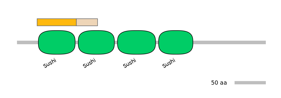 HsaINT0031162-EXC