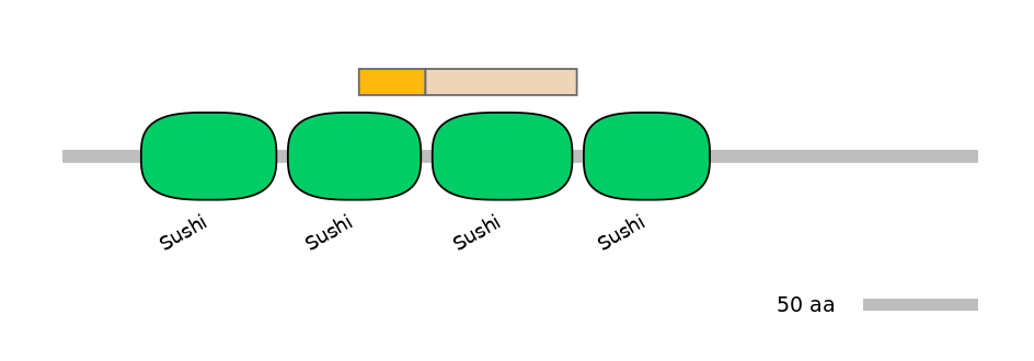 HsaINT0031164-EXC