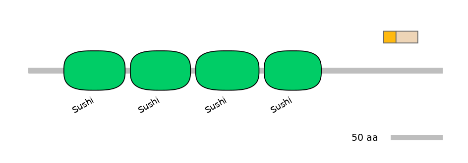 HsaINT0031168-EXC