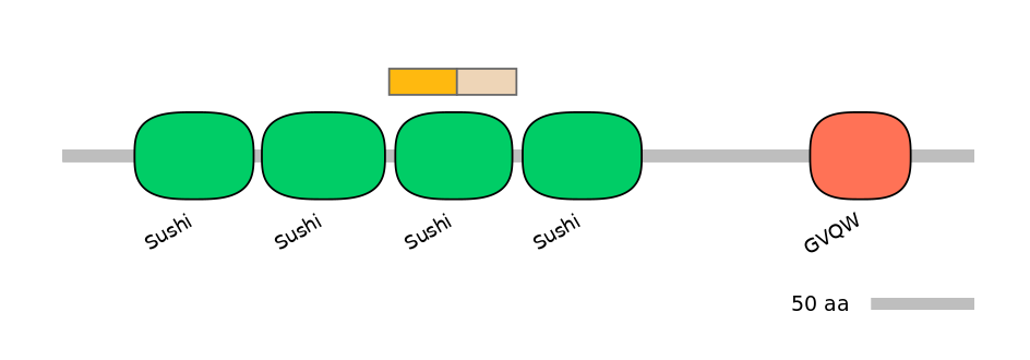 HsaINT0031206-EXC