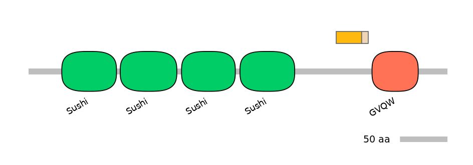HsaINT0031210-EXC