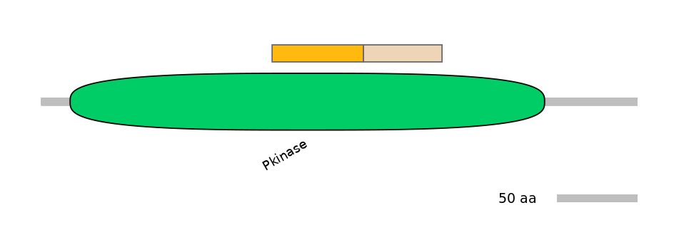 HsaINT0032671-EXC