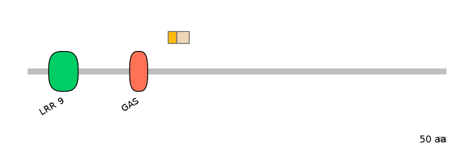 HsaINT0033491-EXC