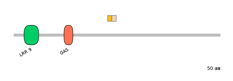 HsaINT0033497-EXC