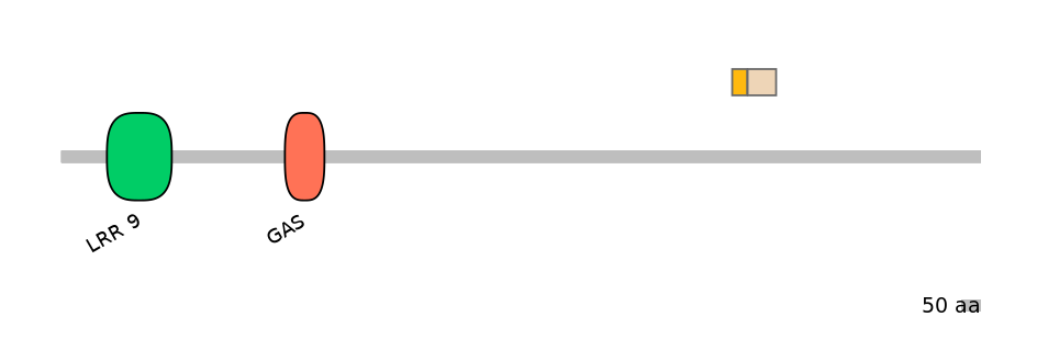 HsaINT0033509-EXC