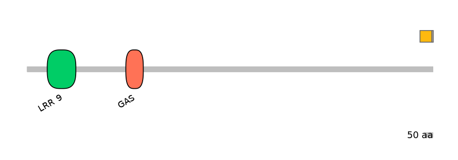 HsaINT0033520-EXC