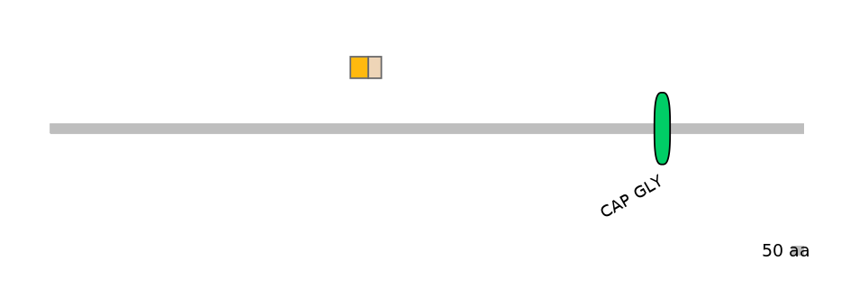 HsaINT0033791-EXC