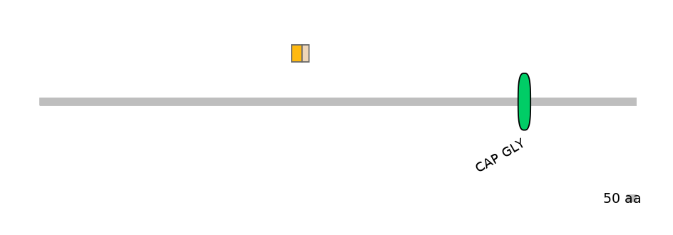 HsaINT0033792-EXC